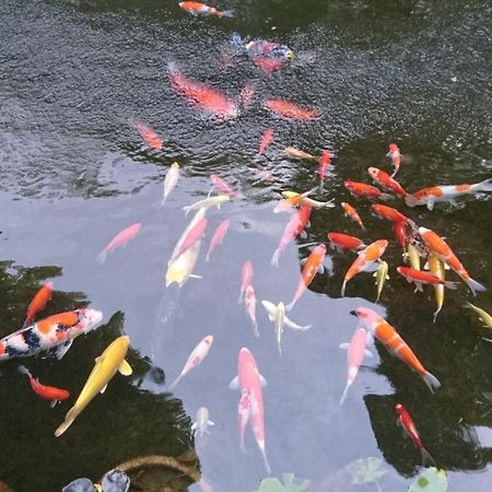 Gyokutei Hotel Hakone Bagian luar foto