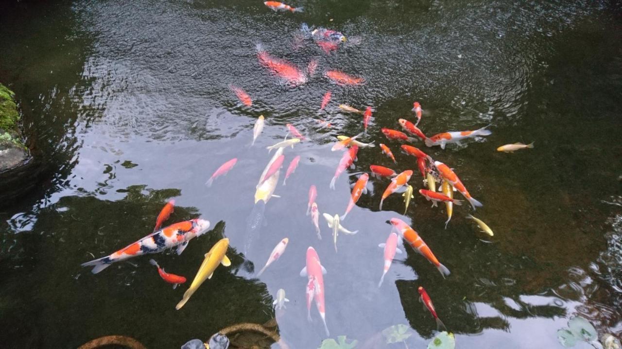 Gyokutei Hotel Hakone Bagian luar foto