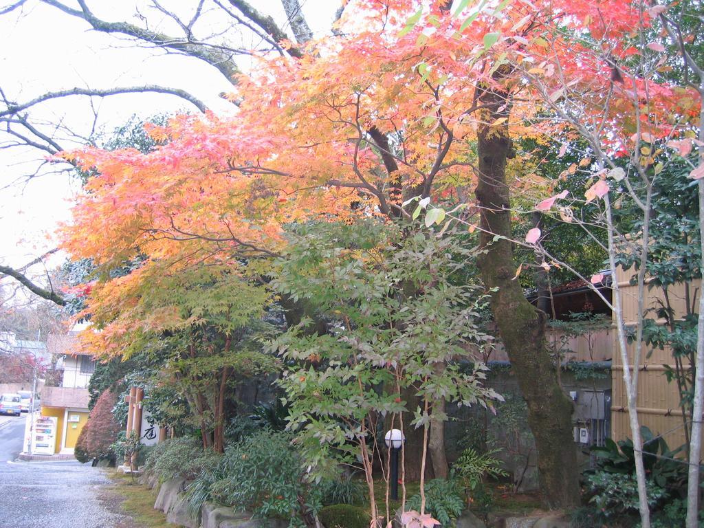 Gyokutei Hotel Hakone Bagian luar foto