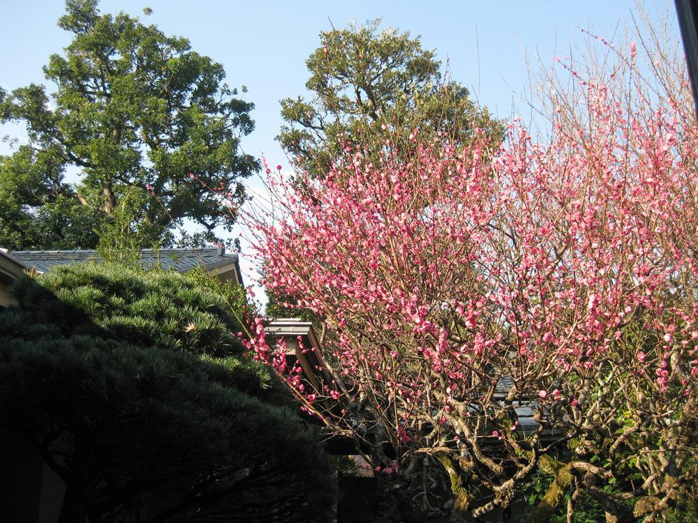Gyokutei Hotel Hakone Bagian luar foto